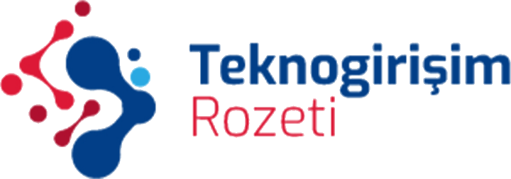 Teknogirişim-Abzeichen